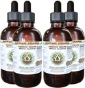 Hawaii Pharm Oregon Grape Alkoholfreie Flüssigextrakt, Oregon Grape (Mahonia aquifolium) Getrocknete Wurzel Glycerit natürliche Kräuterergänzung, USA 4x4 fl.oz