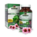 Réponse de la nature Echinacea & Goldenseal (en anglais seulement) Supplément alimentaire (en anglais seulement) Soutient un système immunitaire sain (en anglais seulement) Non-OGM & Kosher Certifié (en anglais seulement) Capsules végétales/végétariennes 90ct