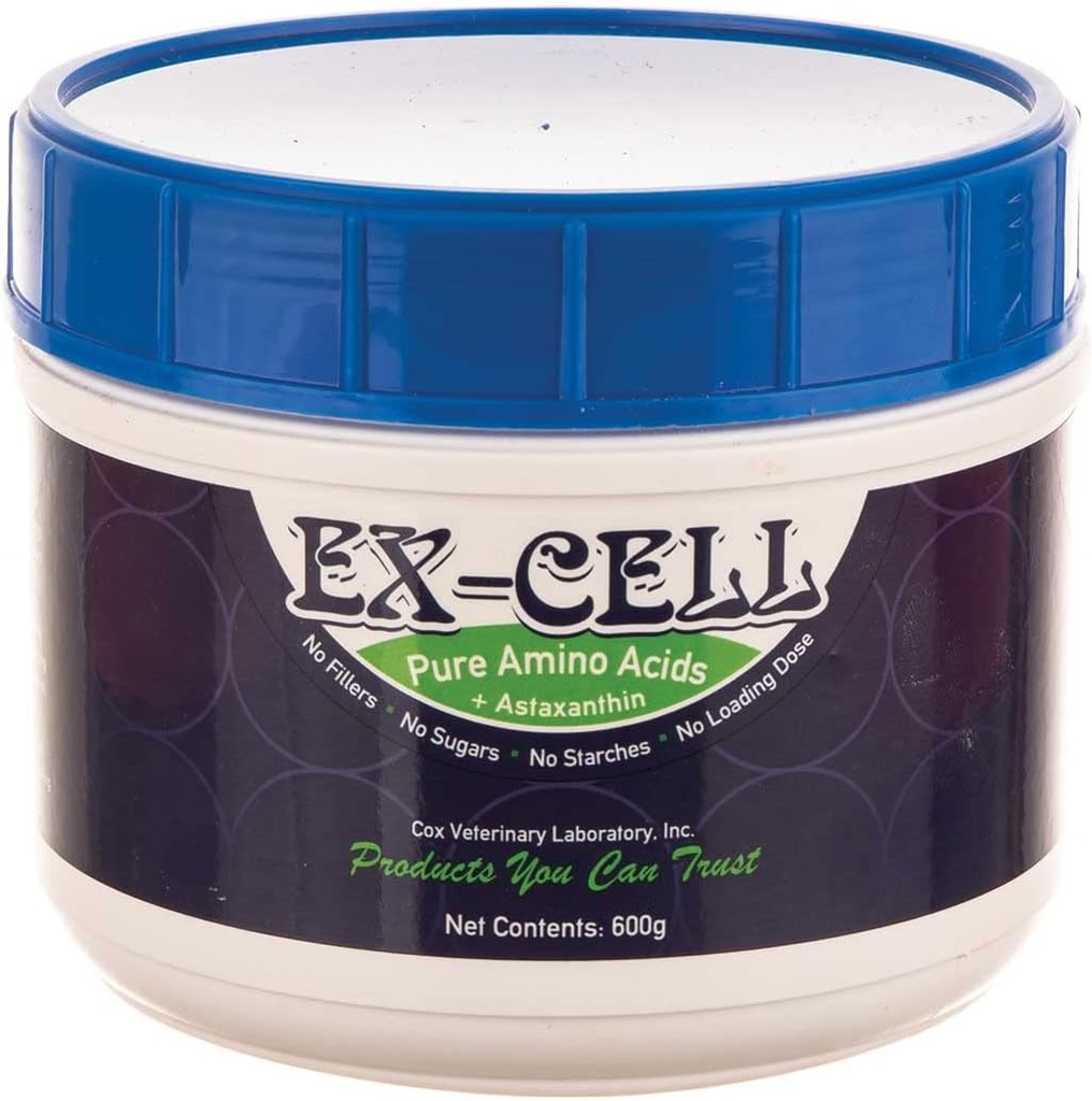 Ex-Cell reine Aminosäuren Pulver 600g