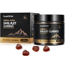 Organic Shilajit Gummies, Pure Himalayan Shilajit Gummis für Männer Beilage, Gold Shilajit Gummis für Frauen,Natural 85+ Trace Minerals, Ashwagandha, Black Seed Oil Extract, 90 Gummies