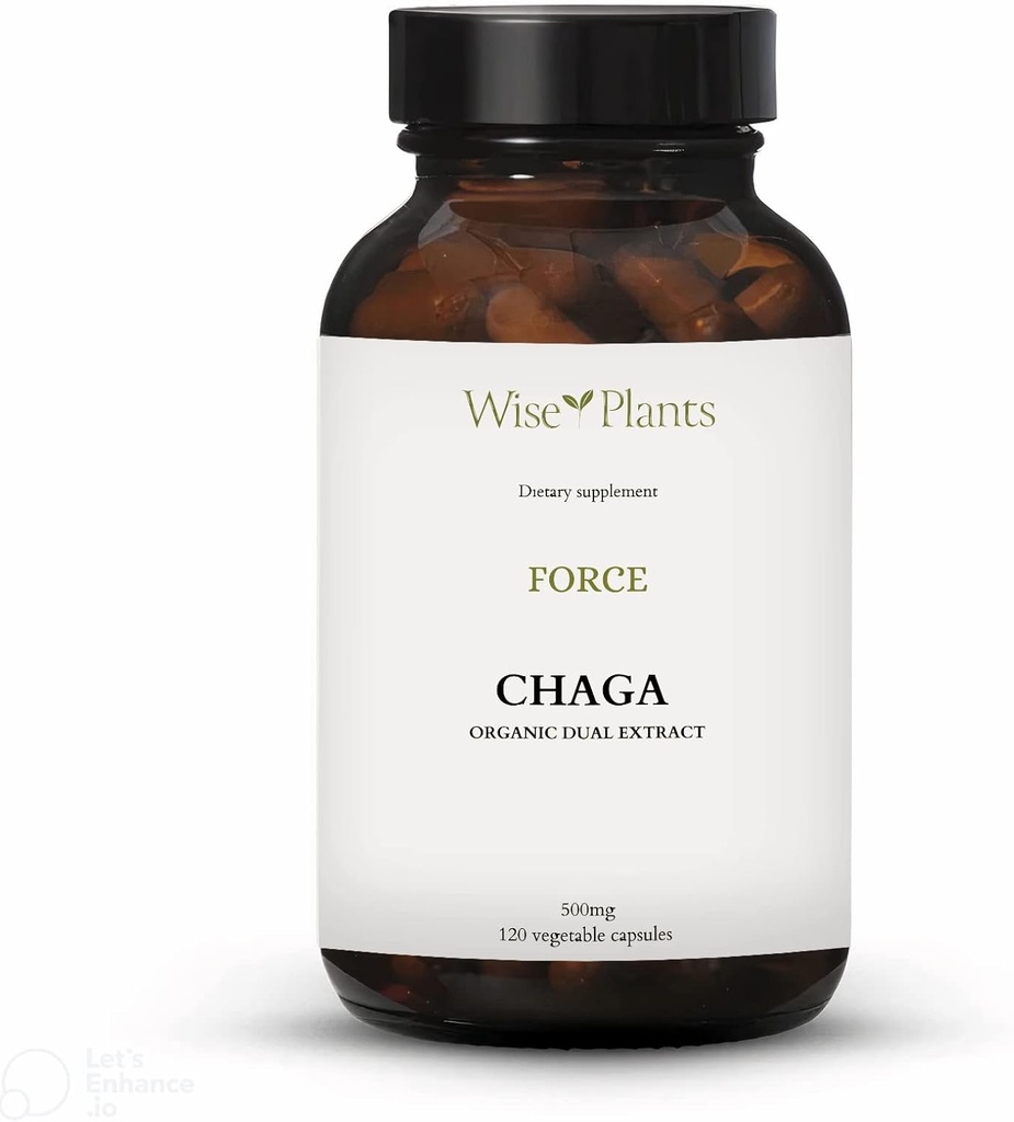 Supplément de champignons Chaga. Dual Extract, Corps de Fruit pur, 30% Polysaccharides, 500 mg, 120 vegecaps (120 jours d'approvisionnement). Peut soutenir une saine fonction digestive, immunitaire et promouvoir la santé cardiaque.