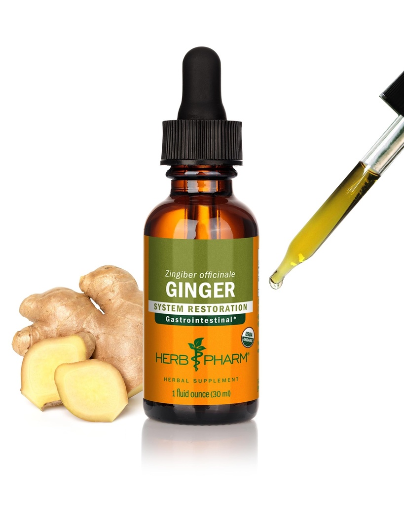 Kräuter Pharm Certified Organic Ginger Liquid Extract für Verdauungshilfe - 1 Unze