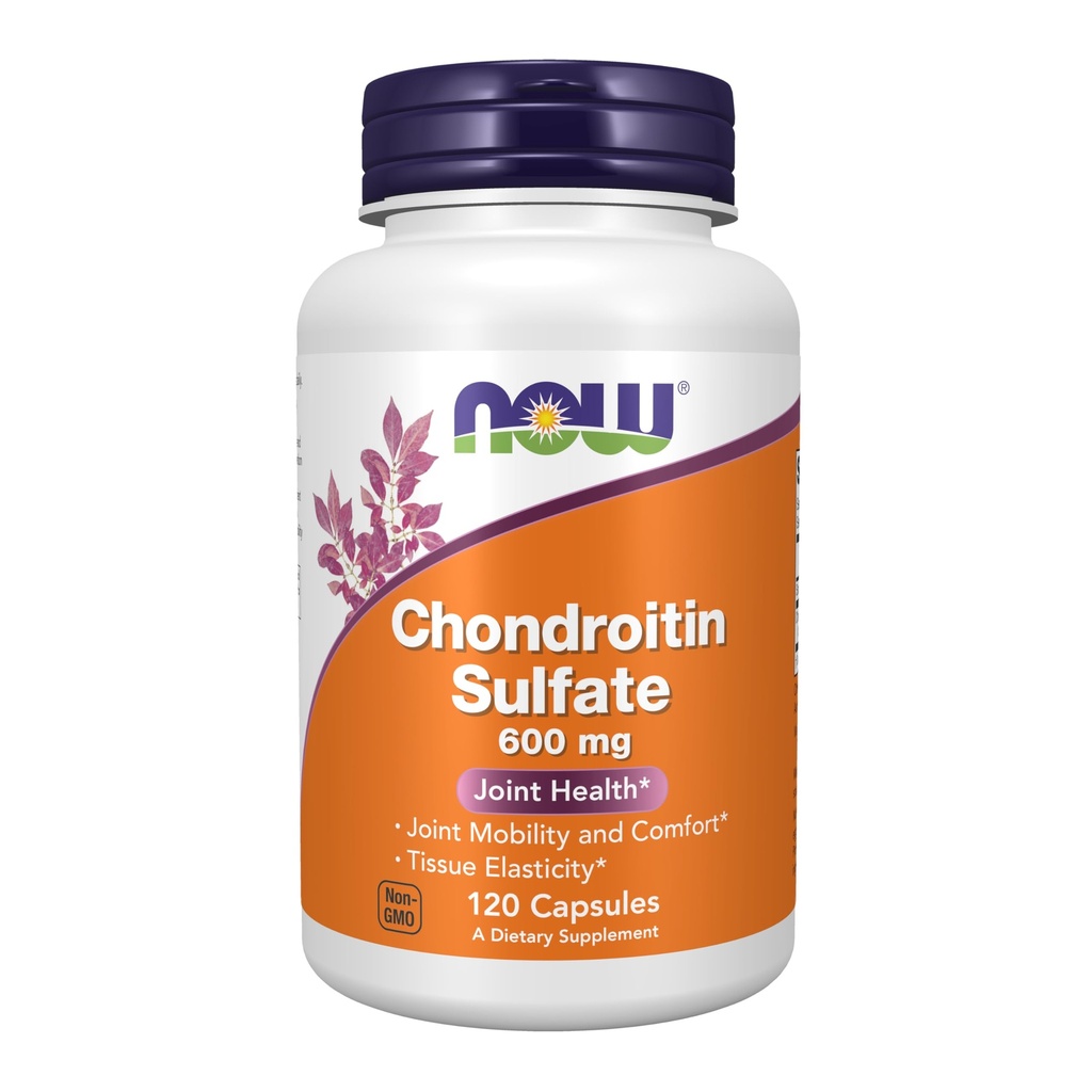 JETZT Nahrungsergänzungsmittel, Chondroitinsulfat 600 mg (ein Glycosaminoglycan), Joint Health*, 120 Kapseln