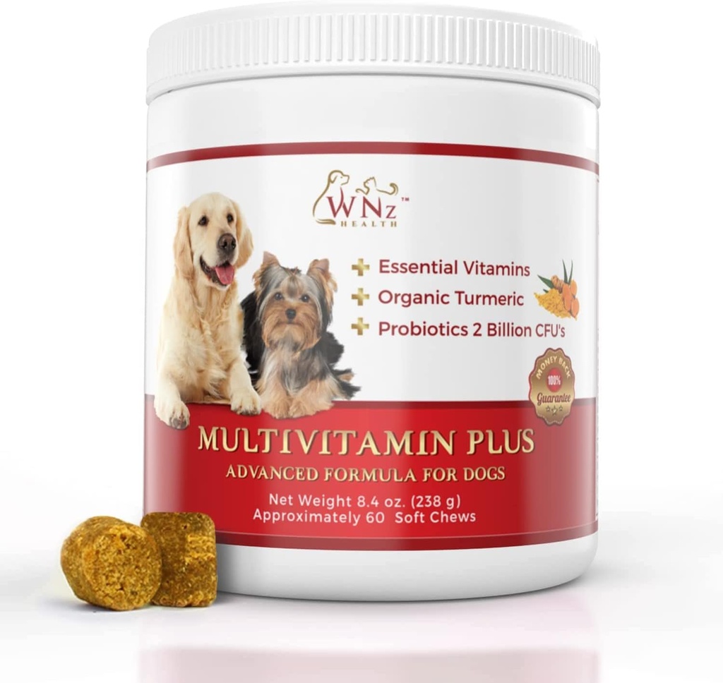Multivitamines et suppléments pour chiens, probiotiques pour chiens avec/Turmeric et Yucca, chips pour chiens probiotiques pour la fonction cérébrale, soutien Gut et immunitaire, supplément articulaire santé et anti-inflammatoire, 60 Chews, 8,4 oz