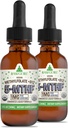 RawGuru Methylfolat 1mg+ Vitamin B12 - Organische Vegan methylierte B12 mit Trace Minerals - Nano-processed & Enhanced Liquid Formula - 300 Servierungen von Vegan Tropfen pro 30 ml, Packung 2