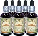 She Chuang Zi (Fructus Cnidii) Tinkture, Organic Dried Fruits Liquid Extract (Markenname: HerbalTerra, Proudly Made in USA) 5x2 fl.oz (5x60 ml)