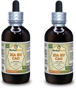 Xia Ku Cao, Prunella (Prunella Vulgaris) Tincture, Organic Dried Spike Powder Liquid Extract (Markenname: HerbalTerra, Proudly Made in USA) 2x4 fl.oz (2x120 ml)