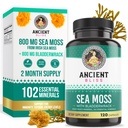 Antike Bliss Organic Irish Sea Moss Pillen - Dr Sebi Wildcrafted Seamoss Capsules | Schilddrüse, Gesunde Haut & Gut Unterstützung | 120 Kapseln