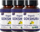 Gokshura 120 Tabletten | Tribulus Terrestris (Gokshura) | USDA Organic Certified | Unterstützt Immunität und Stärke | Organic und Natural 120tab - Packung mit 3
