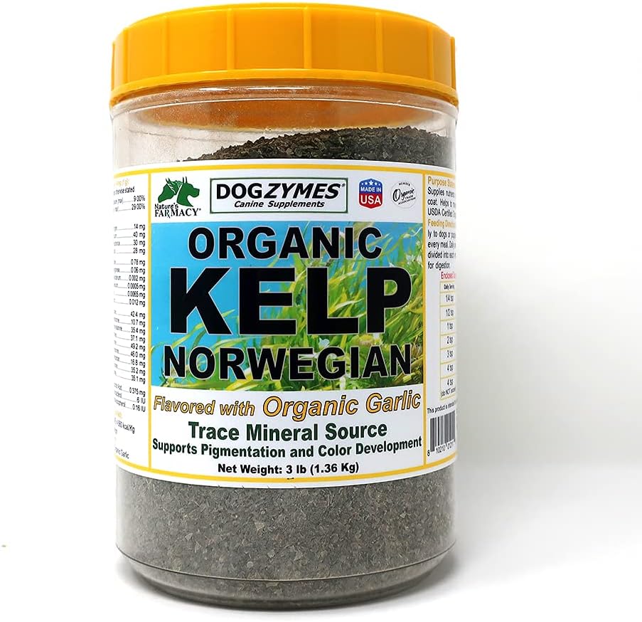 Dogzymes Organic Norwegian Kelp Enhanced with Knoblauch (3 Pfund)