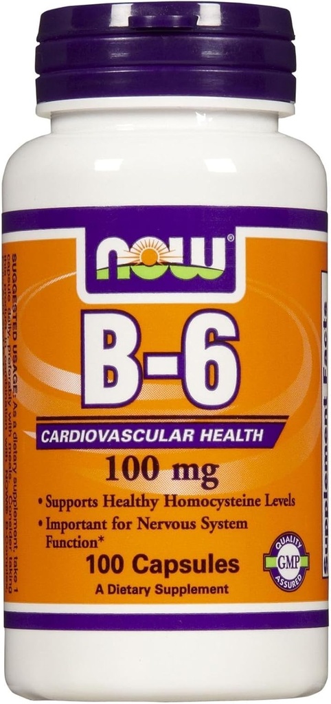JETZT Lebensmittel B-6 100 mg