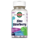 KAL Kinder Zink Elderberry Dinosaurs, Immununterstützungsergänzung* für Kinder w/ Sambucus Elderberry, Fast Dissolving Mixed Berry ActivMelts, Fun, Tasty Dino Shapes, Vegan, 90 Servierungen, 90 Micro Tablets