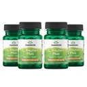 Swanson L. Reuteri Probiotic Plus w/L. Rhamnosus L. Acidophilus & FOS Prebiotic Digestive Support - Promotes Gut Health w/ 7 Billion CFU pro Kapsel - (30 Veggie Capsules) (4 Pack)