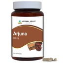 HERBAL HILLS Arjuna Kapseln (Terminalia Arjuna) | 120 Count (500 mg) | Standardisierte Extrakt Wellness- und Gesundheitsergänzungsmittel mit Arjuna Bark Extrakt