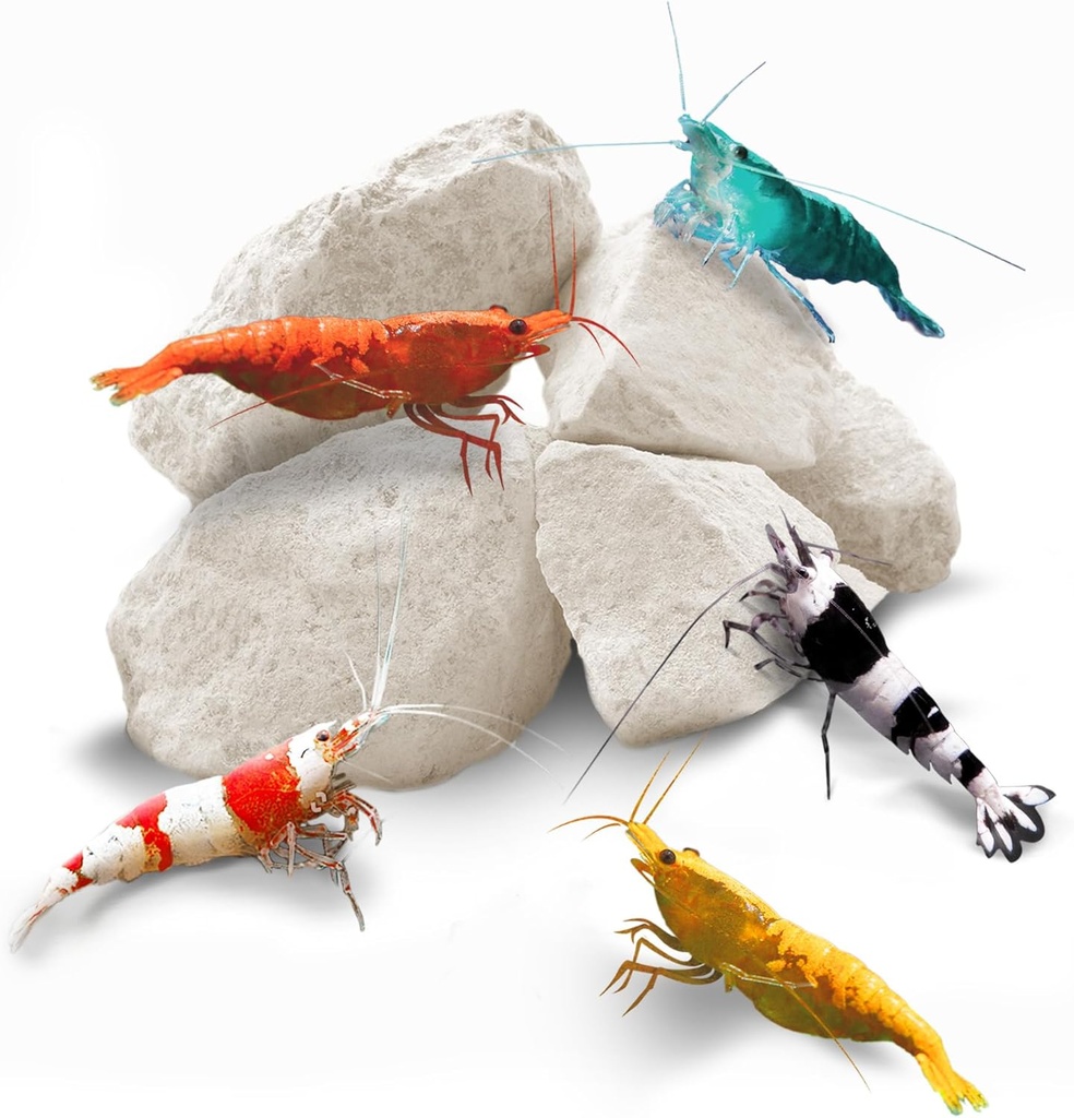 Roches de crevettes SunGrow, Calcium, Roches de magnésium pour poissons-gris, crabe des hermites, escargots, soins des Crustacés, Aquarium Decor pour shripps cristal, Amano et fantômes, Nano Tank Accessoires, fournitures de réservoir de poisson