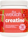 Wellah Creatine pour femmes (50 portions, pastèque) - Créatine monohydratée avec extrait de dandelion et canneberge