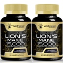 Lions Mane Supplement Kapseln - 120 Zähler - Pilz-Ergänzung, Gehirn-Ergänzungen für Gedächtnis und Fokus, Lion's Mane Mushroom Capsules - Kognitive & Immununterstützung, Fokus-Ergänzung - 2 Pack