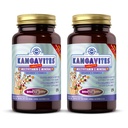 Solgar Kangavites, Bouncin’ Berry Flavor - 120 Chewable Tablets, Paket von 2 - Komplette Multivitamin & Mineral Formel für Kinder - Vegan, Glutenfrei