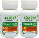 Shilajit Forte Capsules 500 mg. 60 Veg. Capsule | Shilajit (Asphaltum) Extract Capsules for Men and Women | Ayurvedic Herbal Supplement/Remedies | 10:1 Forte (2 Bottles of 60 Capsules)