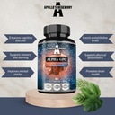 APOLLO'S HEGEMONY Alpha-GPC 600mg par jour - 90 gélules de choline végane - Supplément alimentaire alfoscéré Choline à 99 % - Choline lipide - Capsules de mémoire et de concentration