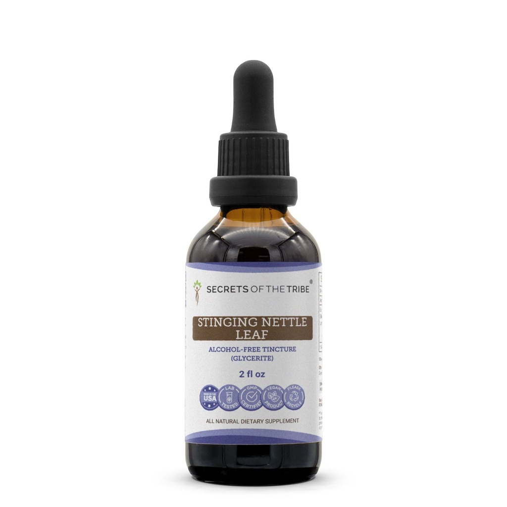 Secrets de la Tribe Sting Nettle Leaf Teinture sans alcool (Glycerite) 694 mg Sting Nettle (Urtica Dioica) Feuille séchée (2 Fl Oz) Supplément de soulagement de l'allergie