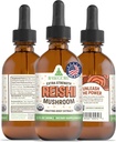 RawGuru Organic Reishi Mushroom Tincture - Reishi Pilzextrakt mit natürlichen Trace Minerals - Nano-Processed Cognitive & Immune Support Supplement - 60 Portionen von Vegan Tropfen pro 60 ml, Packung von 1