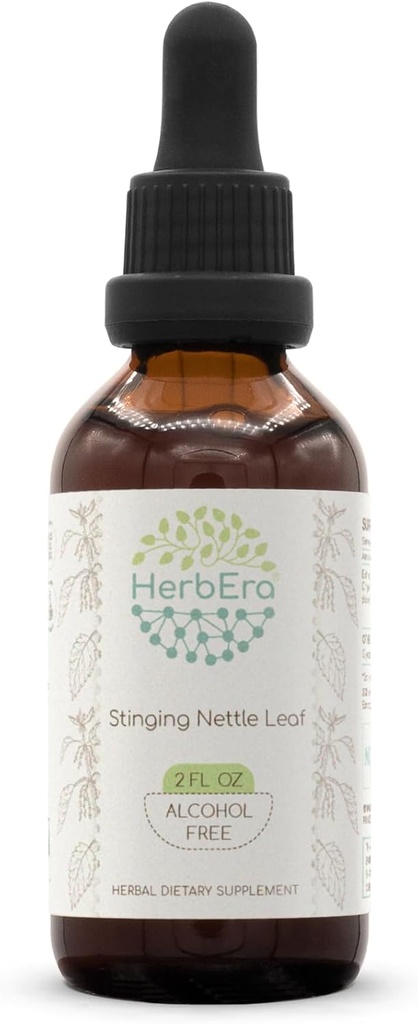 Stinging Nettle Leaf B60 Alkoholfreie Kräuterextrakt-Tinktur, Konzentration flüssige Tropfen natürliches Sting Nettle (Urtica Dioica) Getrocknete Blatt (2 fl oz)