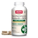 Jarrow Formulas Saccharomyces Boulardii + MOS Probiotics for Digestive Health and Intestinal Tract Support - 5 Billion CFU Pro Serving - 90 Delayed Release Caps - Probiotic + Prebiotic - 90 Servings