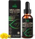 Mullein Blatt Extrakt für Lunge - Mullein Tropfen für respiratorische Gesundheit Unterstützung Lung Detox Cleanse - Vegan Sugar-Free Gluten Free - Flüssige Ergänzung für Männer Frauen 2fl. oz (60ml) (1 Packung)