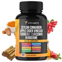 Ceylon Cinnamon Kapseln 3000mg Kurkuma 3000mg Apfelessig 3000 mg Ginseng 2000mg Aloe Vera 2000mg Berberine Supplement 1200mg + Banaba | Bitter Melon | Gymnema | Ginger Root - 60 Count