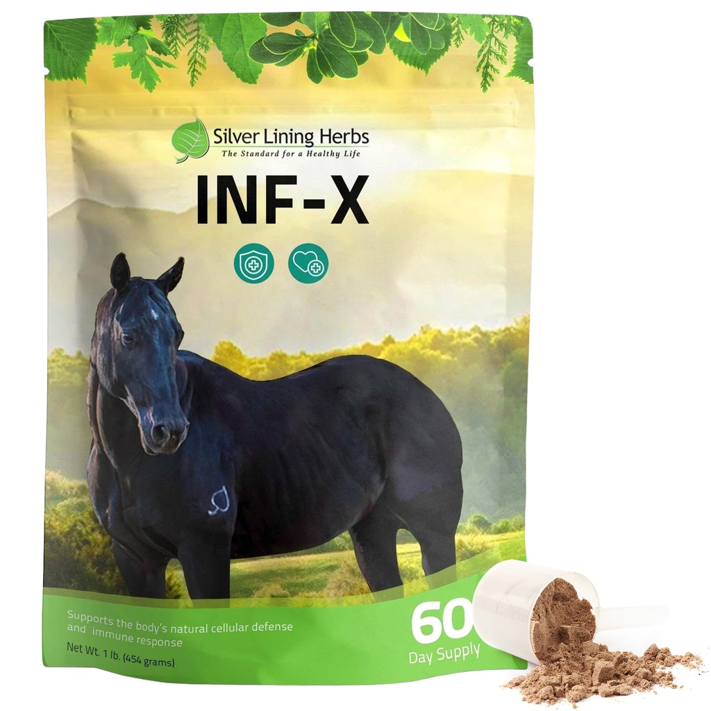 Herbes argentées Hippique INF-X - soutient le soulagement du stress des chevaux et des niveaux sains de bonnes bactéries - Soutien naturel pour le système immunitaire équine - Supplément à base de plantes pour la désintoxication équine - 1 lb