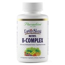 Paradise Herbs, Earth's Blend B-Complex, methyliert, enzymatisch aktive Formen von B Vitaminen + Superfoods, unterstützt Energie und Immunität, 60 Kapseln
