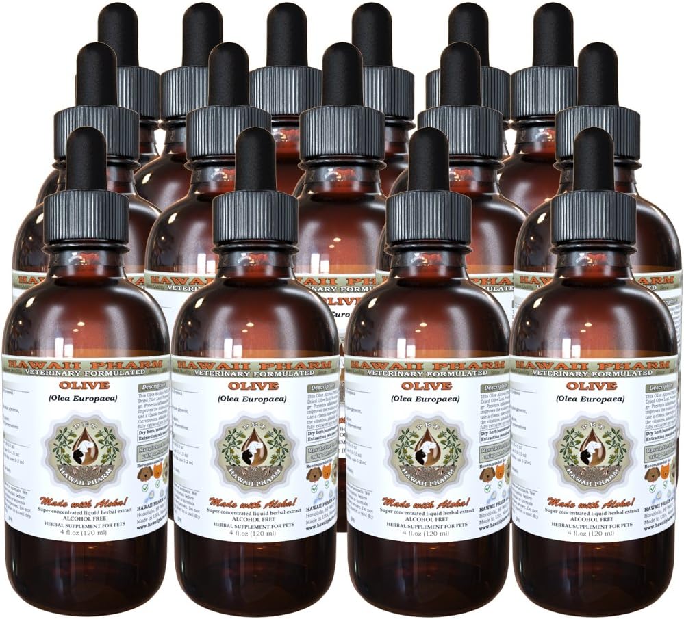 HawaiiPharm Olive (Olea europaea) Feuille séchée biologique vétérinaire extrait liquide sans alcool naturel, supplément à base de plantes pour animaux de compagnie 15x4 oz
