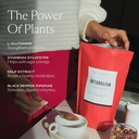SAKARA Super Powder Bundle - Metabolism Super Powder, Chocolate & Fiber Super Powder, Ananas Hint - Helfen Sie Verdauungsgesundheit mit Verdauungsenzymen Supplement Powder