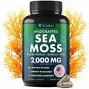 Sea Moss Capsules - Irish Sea Moss Advanced with Burdock Root, Bladderwrack & Muira Puama für Immunität, Gut, & Energie - Superfood Sea Moss Supplements w/Raw Sea Mos Powder - 120 Irish Seamoss Pills