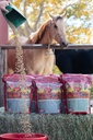 Mega Dose 40 lb, Equine Vitamin Mineral mit einer vollständigen Servierung der Pferdegarde Ergänzung & Hoof Guard