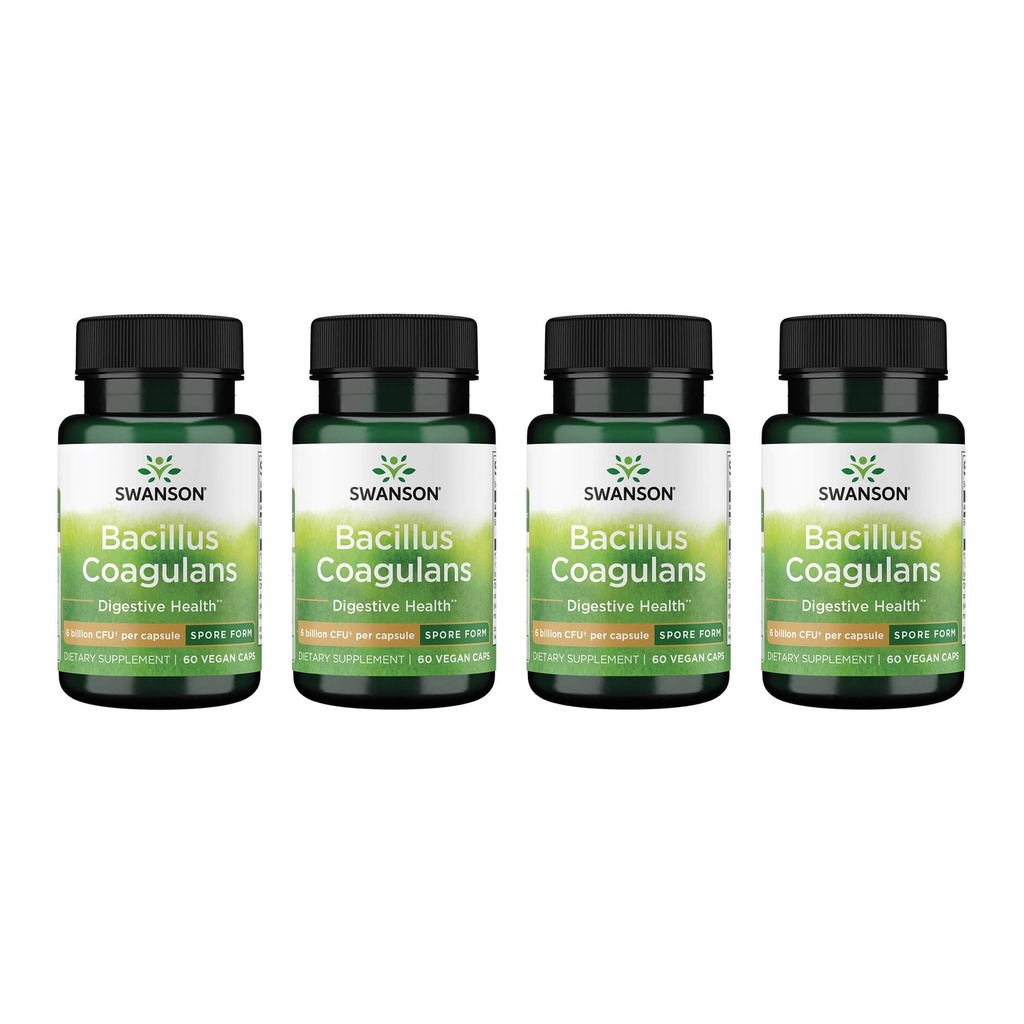 Swanson Bacillus Coagulans - Natürliche probiotische Ergänzung Unterstützung Verdauungsgesundheit w/ 6 Billion CFU - Mai Unterstützung GI & Gesamtgut Gesundheit - (60 Veggie Kapseln) 4 Pack
