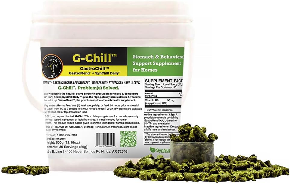 G-Chill All-Natural Digestive Health Support für Pferde - 30 Portionen - Fördert Stomach & Hindgut Health, Aids in Magen-Ultracer Relief, verbessert Collagen & Fibronectin Produktion für Gewebereparatur
