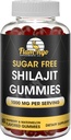 Gummies Shilajit sans sucre (service de 1000mg)- L'acide fulvic biologique naturel de l'Himalaya Supplément Shilajit pour hommes et femmes -60 chews Gummy