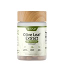 Snap Supplements Olivenöl Blatt Extrakt Kapseln - Super Strength 40% Oleuropein für Blutfluss-Unterstützung, Verbesserung der Verdauung, Antioxidans Boost Supplement, Verbesserung der Gehirnfunktion (60 Kapseln)