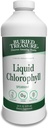 Trésor enseveli Chlorophylle liquide 100 mg, complément alimentaire, soutien digestif intestinal Déodorant du corps naturel Vegan Non-OGM Alcohol Free, Spearmint Saveur 32oz