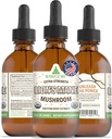 RawGuru Lion's Mane Mushroom Tincture - Vegan Lion's Mane Extract mit Trace Minerals - Nano-Processed Immunity Boost & Cognitive Supplement - 120 Portionen von Vegan Tropfen pro 60 ml, Packung von 1