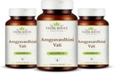 Arogyavardhini Vati Tablets - Natürliche Detox und Leber Gesundheit Unterstützung | für Spleen Erweiterung | Reduziert Bloating | für Nährstoffaufnahme Verbesserung | 120 Tabletten (360)