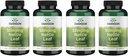 Swanson Stinging Nettle Leaf (Urtica Dioica) - Supplément à base de plantes favorisant le traitement urinaire et le soutien de la santé respiratoire - Peut soutenir un équilibre fluidique sain - (120 capsules) (4 pack)