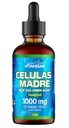 Celulas Madres Stem Cell Support, Plant-Based, Adaptogen Blend,Cordyceps, Rhodiola Rosea, Afa, Astragalus, B Complexe, Reishi, Ganoderma, Algae bleu-vert, Spiruline, 1000mg naturel 13 ingrédients clés.