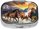 Running Horses Printed Square Pill Organizer with 2 Compartments, Portable Mini Pill Box Pill Case for Medicine, Vitamin, Fish Oil, Supplements