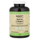 Vitacost ROOT2 Collagène BioCell avec acide hyaluronique -- 100 Milligramme par portion - 240 Capsules