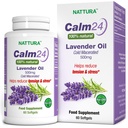 Nattura Aid Calm Lavande huiles pilules - 500mg - 60 Softgels - 100% naturel, aide à réduire le stress, calmant pour le corps et l'esprit, non-OGM, certifié Kosher