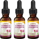 Lovita Echinacea Extrakt Flüssigkeit | 1 FL OZ | 350 mg pro Portion | Konzentrierte Kräuter Tinktur | Vegan | Alkoholfrei | mit Elderberry und Licorice Extrakt (Pack mit 3)