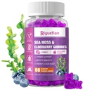 Gommies de mousse de mer et mûres aînées - Vitamine C + Zinc – Forte Immune & Thyroïde Support Booster Ours gommy pour les enfants et les adultes - 60 Gommies de la mer naturelle